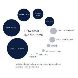 What is a Micron? The explanation and size comparison Infographic ...